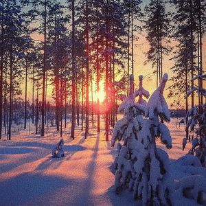 易阳精品视频在线观看
