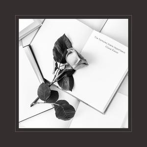 易阳精品视频在线观看
